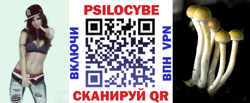 Купить закладки  Бородино  Псилоцибиновые грибы мухоморы 